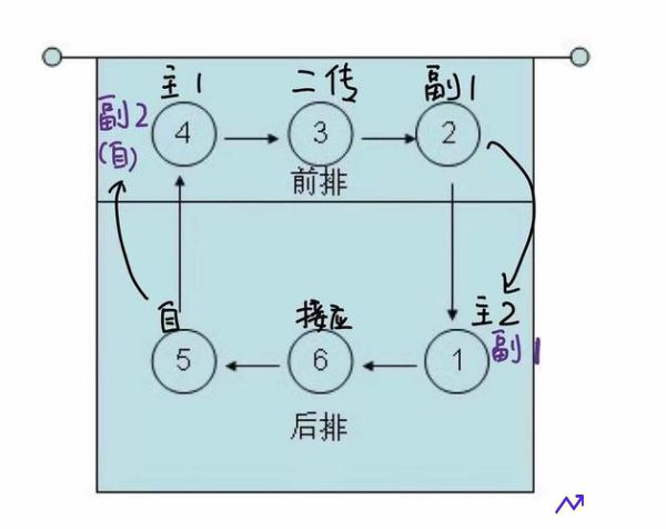 女排出线(女排出线是什么意思)