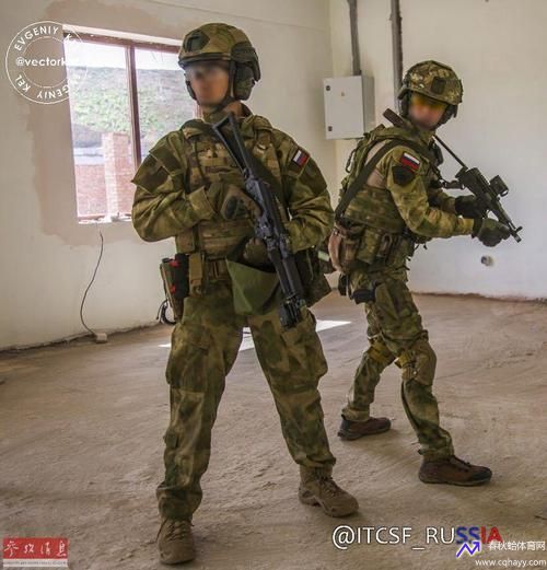 车臣武装力量(车臣武装力量排名前十)